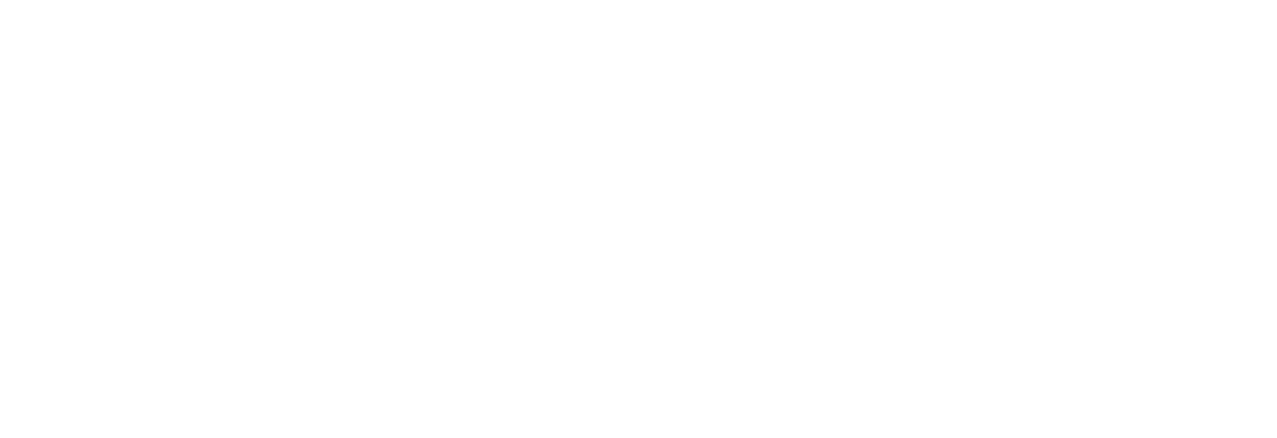 RODOYSA